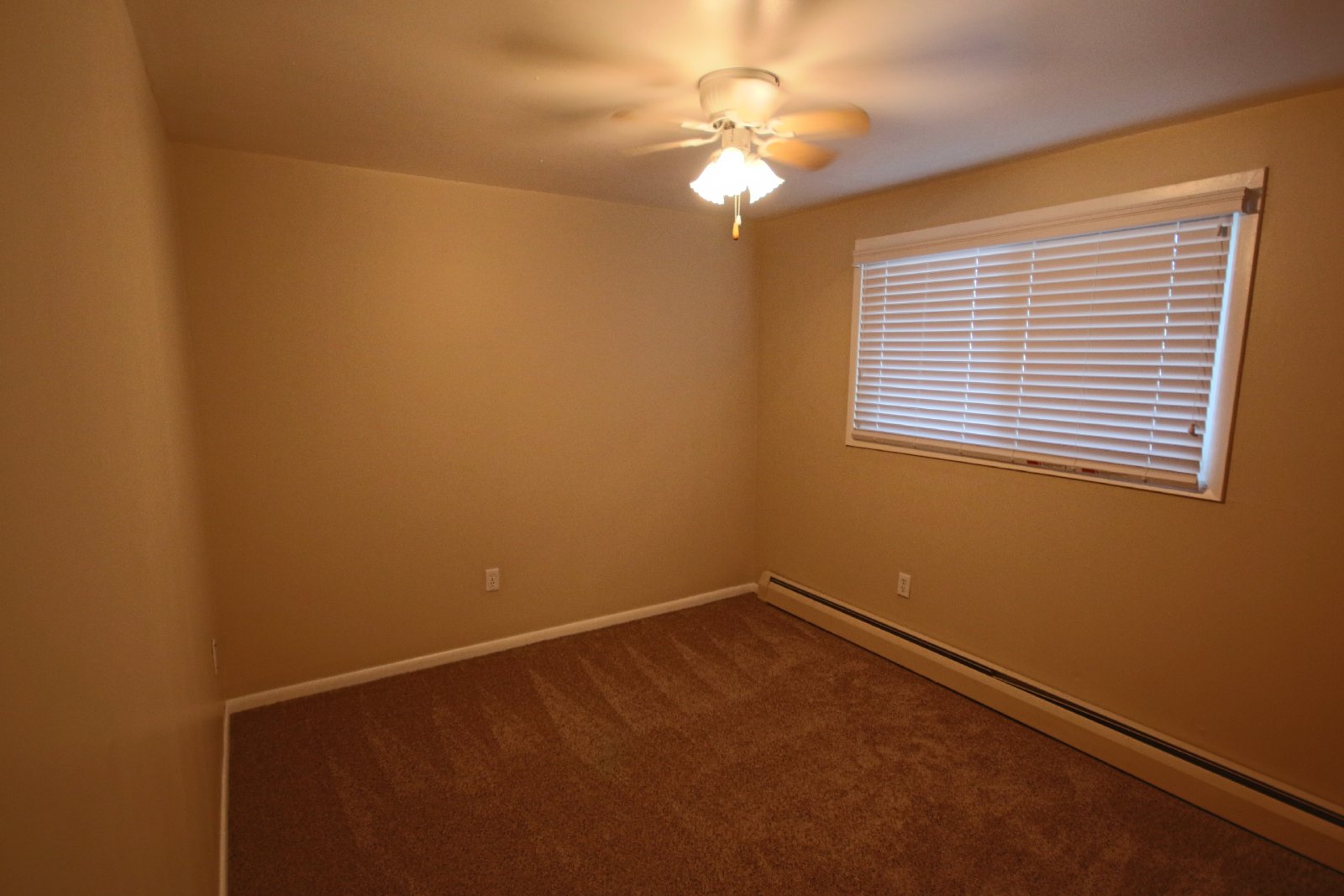 2 Bed 1 Bath downstairs duplex property image