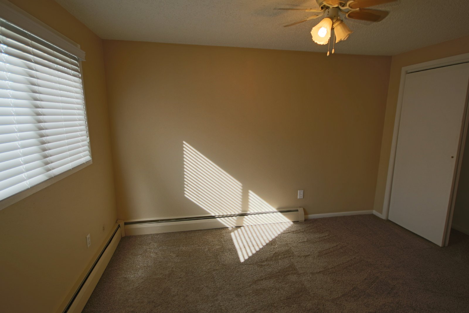 2 Bed 1 Bath downstairs duplex property image